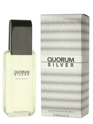 Antonio Puig Quorum Silver EDT 100 ml M Pouze Dnes