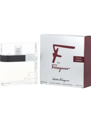 Salvatore Ferragamo F by Ferragamo Pour Homme EDT 100 ml M Nejlepší Volba