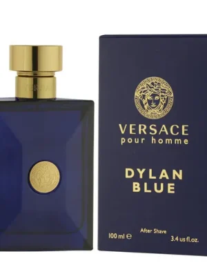 Vysoce Kvalitní Versace Pour Homme Dylan Blue AS 100 ml M
