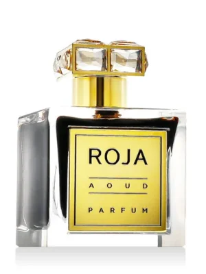 Roja Parfums Aoud Parfém tester 100 ml UNISEX Sezónní Sleva
