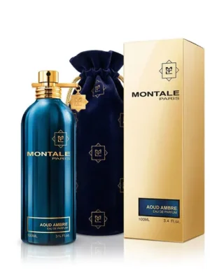 Horká Nabídka Montale Paris Aoud Ambre EDP 100 ml UNISEX