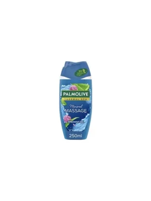 Palmolive sprchový gel Wellness Massage, 250 ml Nejlepší Volba