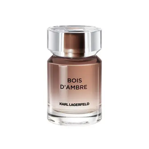 Cenově Výhodný KARL LAGERFELD Bois d´Ambre toaletní voda pro muže 50 ml