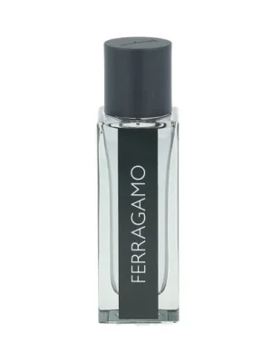 Speciální Cena Salvatore Ferragamo Ferragamo EDT 30 ml M