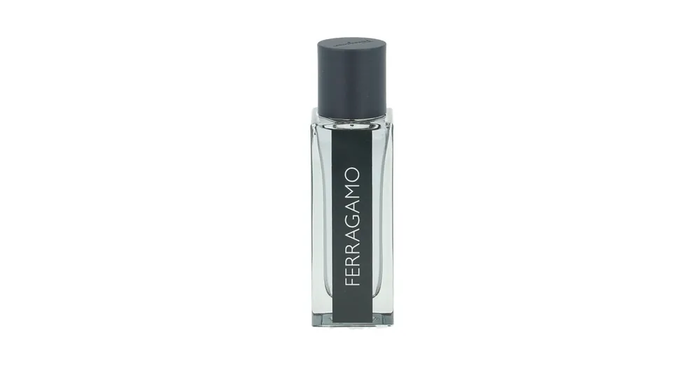 Speciální Cena Salvatore Ferragamo Ferragamo EDT 30 ml M