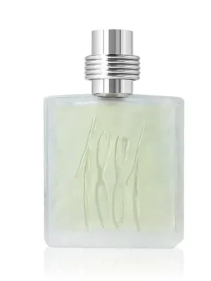 Vysoce Kvalitní Cerruti 1881 Pour Homme EDT 100 ml M