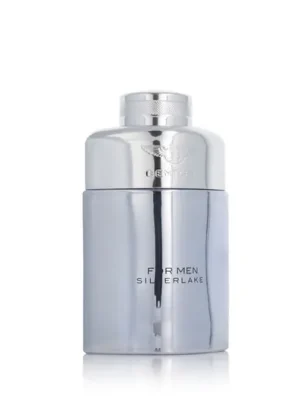 Víkendová Akce Bentley For Men Silverlake EDP 100 ml M