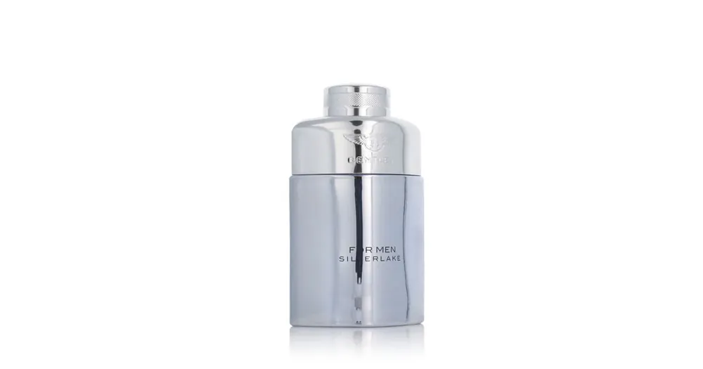 Víkendová Akce Bentley For Men Silverlake EDP 100 ml M