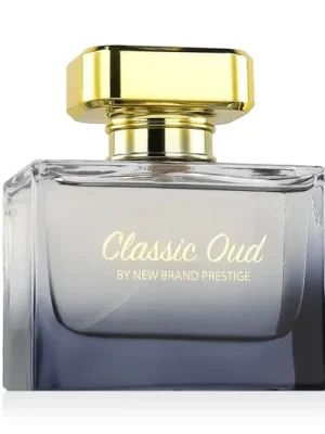 Sleva New Brand Perfumes Prestige Classic Oud EDP 100 ml W