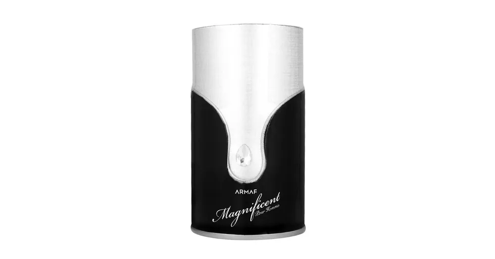 Armaf Magnificent Pour Homme EDP 100 ml M Cenový Hit