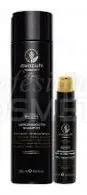 Vysoce Kvalitní Paul Mitchell Awapuhi Wild Ginger Smooth Save on Duo Set - Šampon 250 ml + primer 20 ml Dárková sada