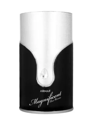 Ověřený Armaf Magnificent Pour Homme EDP 100 ml M  .