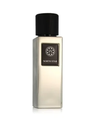 Cenově Výhodný The Woods Collection Natural North Star EDP 100 ml M