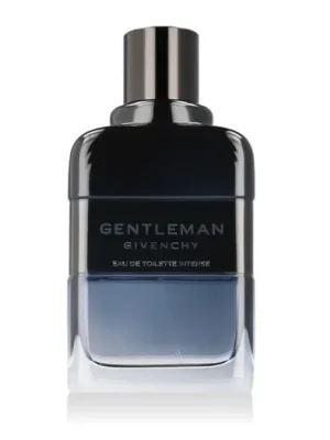 Givenchy Gentleman EDT Intense tester 100 ml M Vysoce Kvalitní