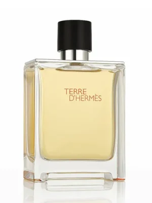 Hermès Terre D'Hermès Parfém 200 ml M Značkový