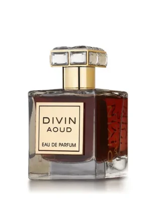 Cenový Hit French Avenue Divin Aoud EDP 100 ml UNISEX .