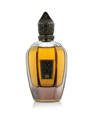 Poslední Šance Xerjoff Aqua Regia Parfém 100 ml UNISEX