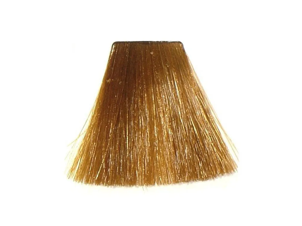 Cenová Bomba LONDA Professional Londacolor barva 60ml - Světlá blond měděná popelavá 8-41