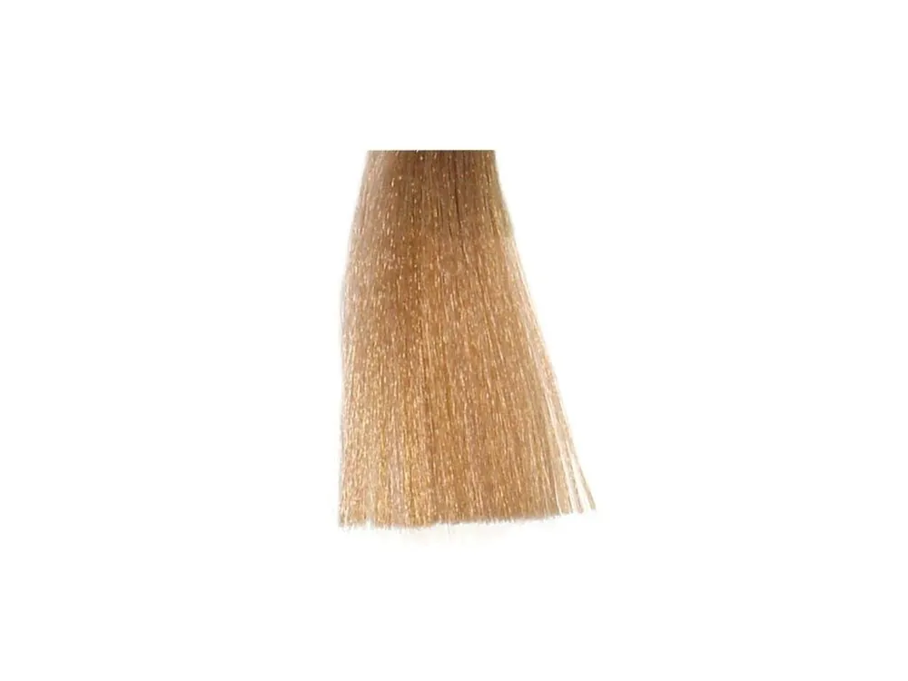 Aktuální BES Hi-Fi Hair Color Krémová barva na vlasy - Světlá blond popelavá 8-1