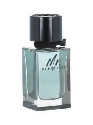 Finální Výprodej Burberry Mr. Burberry EDT tester 100 ml M