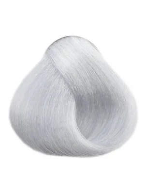 LOVIEN ESSENTIAL LOVIN Color barva na vlasy 100ml - Silver Grey 12.1 Autentický