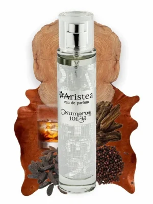 Aristea NUMEROS 101 H parfémová voda pánská 50 ml Hit Sezóny