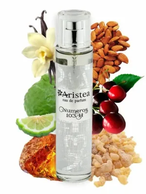 Nízká Cena Aristea NUMEROS 103 H parfémová voda pánská 50 ml