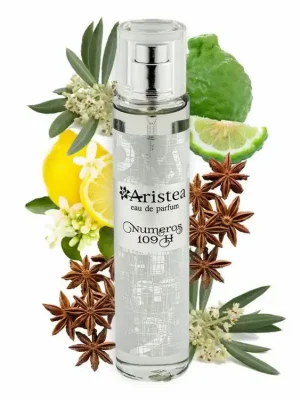 Super Cena Aristea NUMEROS 109 H parfémová voda pánská 50 ml