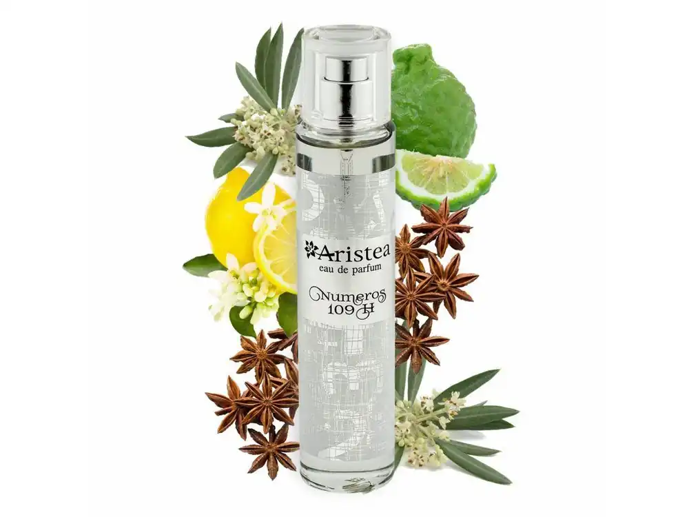 Super Cena Aristea NUMEROS 109 H parfémová voda pánská 50 ml