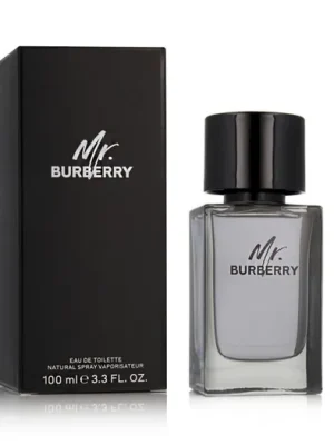 Burberry Mr. Burberry EDT 100 ml M Akční Nabídka