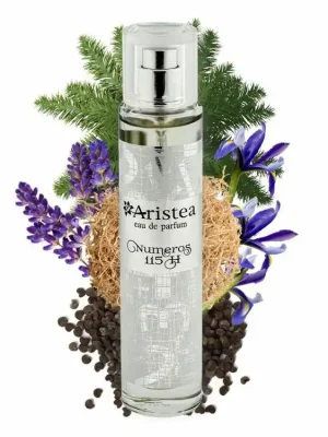 Výprodej Aristea NUMEROS 115 H parfémová voda pánská 50 ml