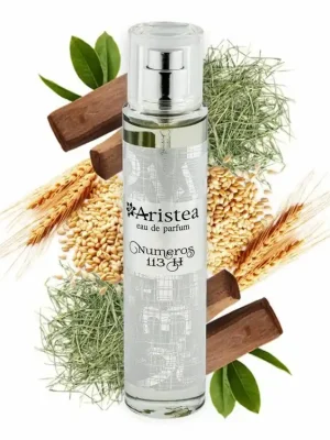 Aristea Eau de parfum NUMEROS 113 H pánská 50 ml Sleva