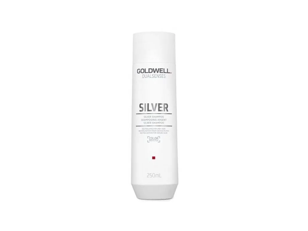 GOLDWELL Dualsenses Silver Shampoo 250ml - šampon proti žlutým tónům blond vlasů Nejprodávanější
