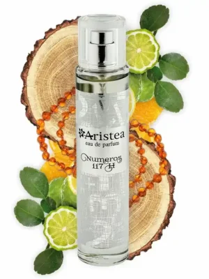 Aristea NUMEROS 117 H parfémová voda pánská 50 ml Jen Po Omezenou Doba