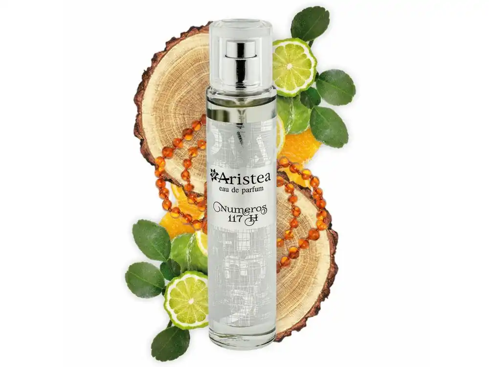 Aristea NUMEROS 117 H parfémová voda pánská 50 ml Jen Po Omezenou Doba