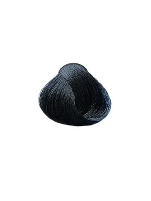 Tovární Cena SUBRINA Colour Barva na vlasy 100ml - 2-2 modro černá