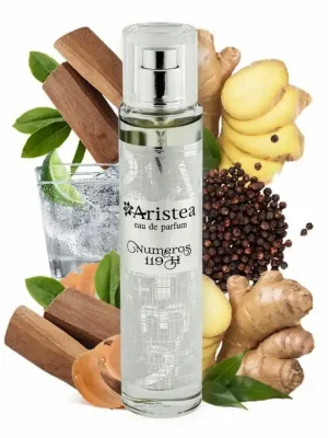 Aristea NUMEROS 119 H parfémová voda pánská 50 ml Objednat Nyní