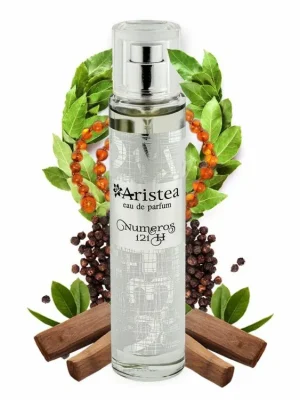 Pouze Dnes Aristea NUMEROS 121 H parfémová voda pánská 50 ml