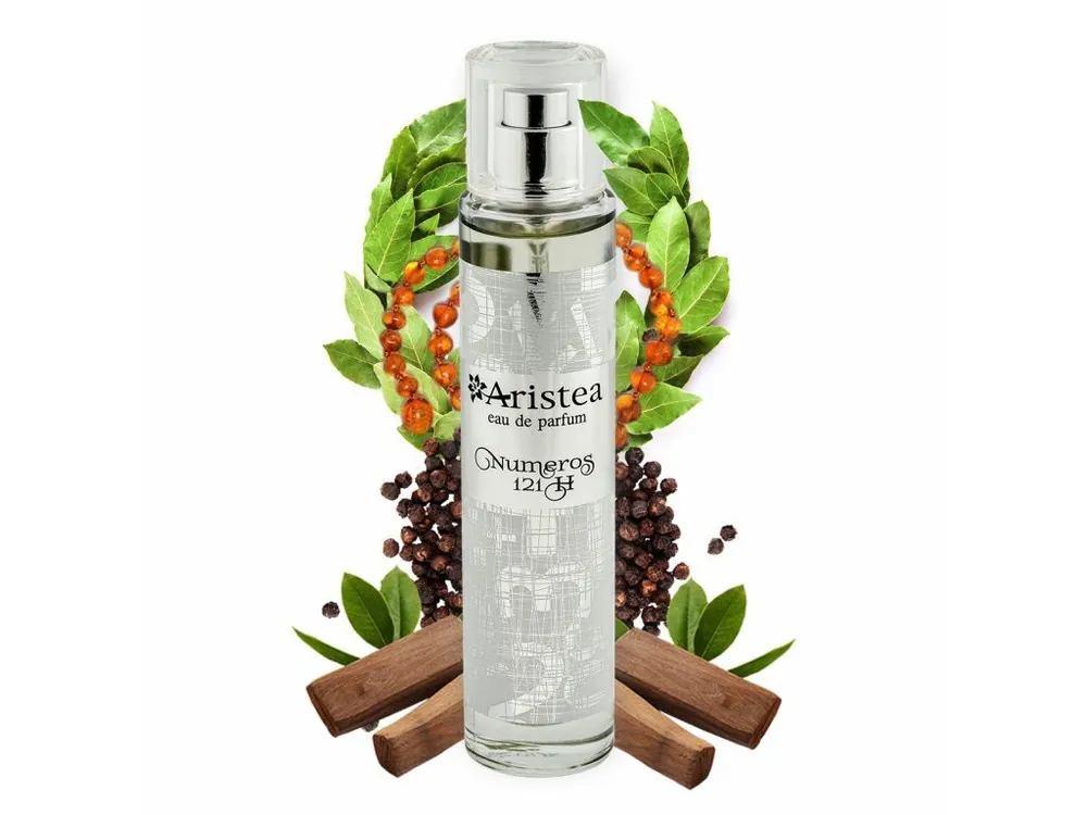 Pouze Dnes Aristea NUMEROS 121 H parfémová voda pánská 50 ml