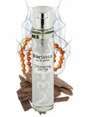 Aristea NUMEROS 137 H parfémová voda pánská 50 ml Koupit Online