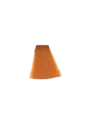 Akční Nabídka KALLOS KJMN Barva na vlasy s keratinem a arganem - 8.43 Light Copper Golden Blond