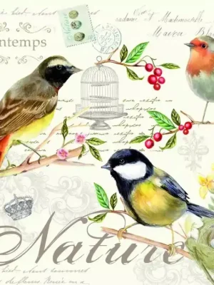 Easy Life Papírový ubrousek Les Oiseaux 33x33x cm 20 ks Tovární Cena