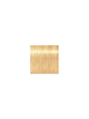 SCHWARZKOPF Igora Royal Absolutes 60ml - extra světlá blond přírodní zlatá 9-50 Jen Po Omezenou Doba
