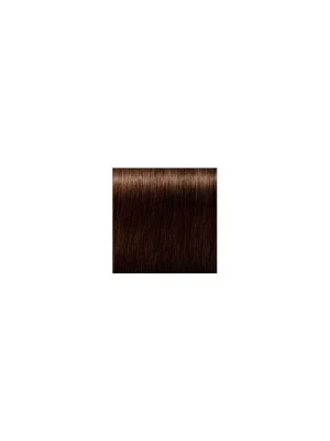 Výhodná Nabídka SCHWARZKOPF Igora Royal Absolutes 60ml - středně hnědá přírodní čokoládová 4-60