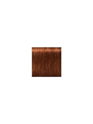 Speciální Cena SCHWARZKOPF Igora Royal Absolutes 60ml - střední blond přírodní měděná 7-70