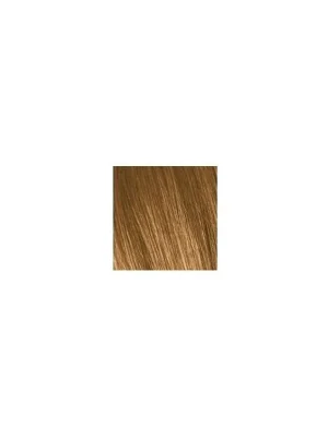 Horká Nabídka SCHWARZKOPF Igora Royal Absolutes 60ml - střední blond přírodní zlatá 7-50