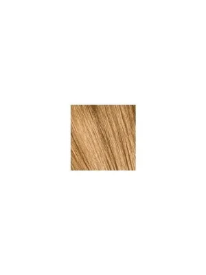 Cenová Bomba SCHWARZKOPF Igora Royal Absolutes 60ml - světlá blond přírodní zlatá 8-50