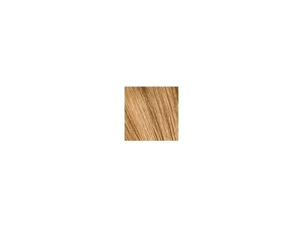 Cenová Bomba SCHWARZKOPF Igora Royal Absolutes 60ml - světlá blond přírodní zlatá 8-50