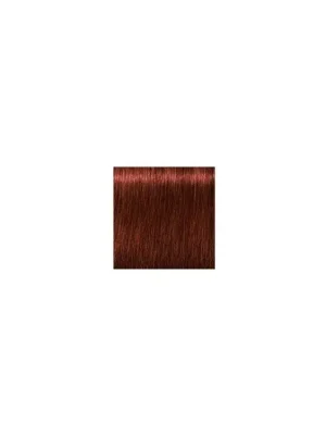 Vrácení Zdarma SCHWARZKOPF Igora Royal Absolutes 60ml - světle hnědá přírodní červená 5-80