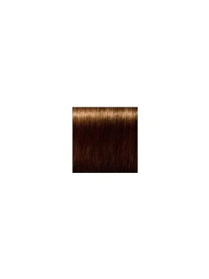 Nakupujte Hned SCHWARZKOPF Igora Royal Absolutes 60ml - světle hnědá přírodní zlatá 5-50